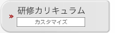 研修カリキュラム カスタマイズ